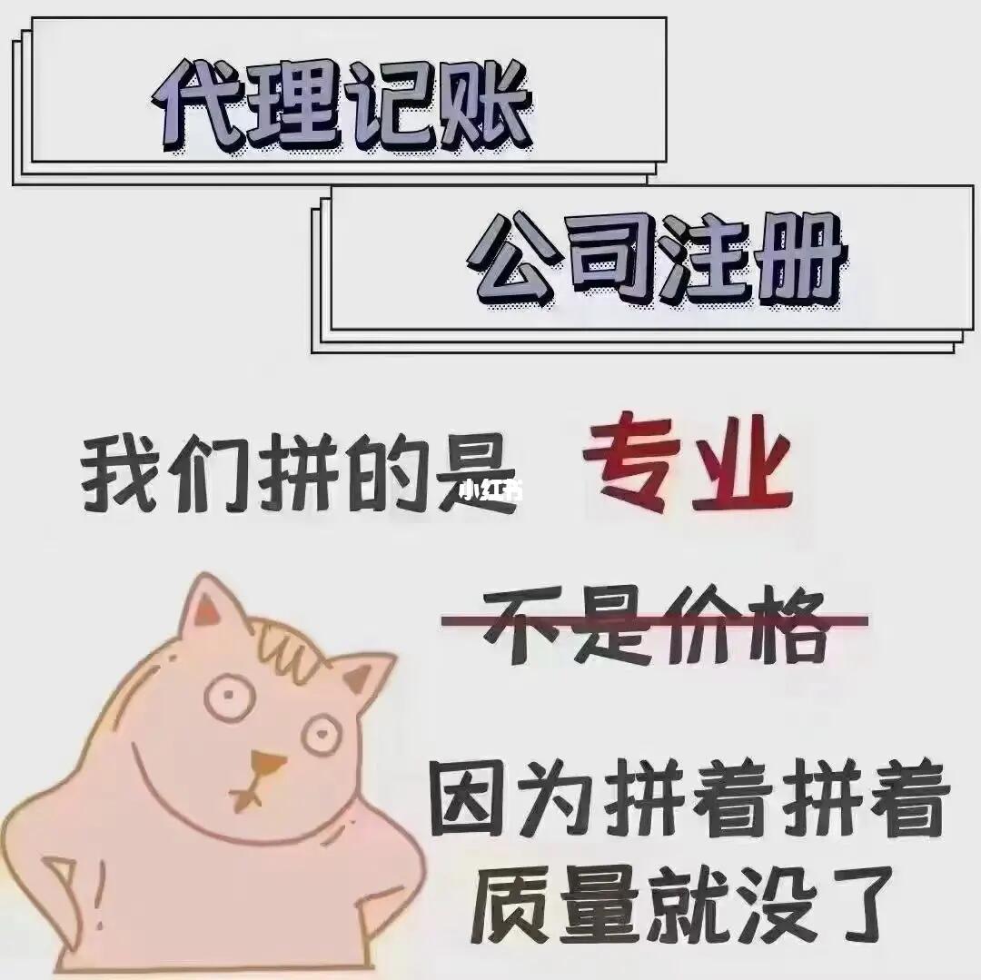代理記賬與代理記帳 概念解析與現(xiàn)代應(yīng)用
